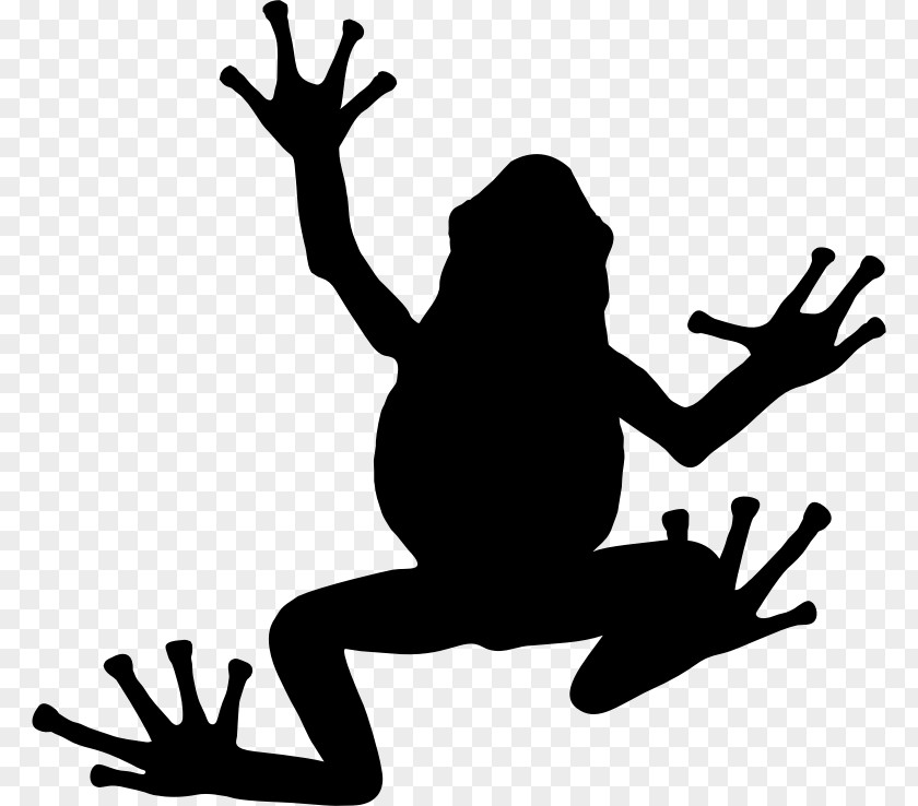Frog Silhouette Clip Art PNG
