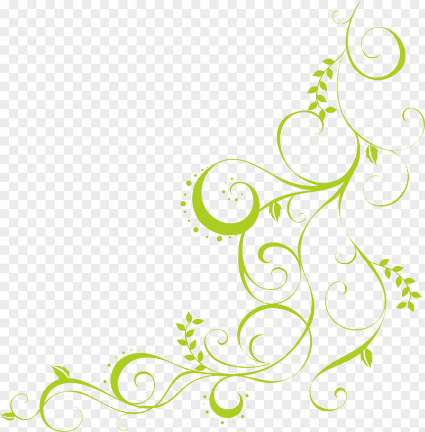 Green Lines Pattern Drawing Vine Stock Illustration Photography PNG