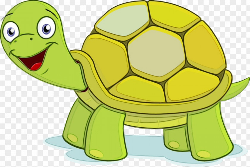 Animal Figure Pond Turtle Tortoise Green Clip Art Cartoon PNG