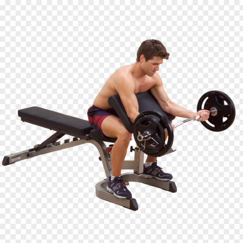 Bench Biceps Human Body Forearm Triceps Brachii Muscle PNG
