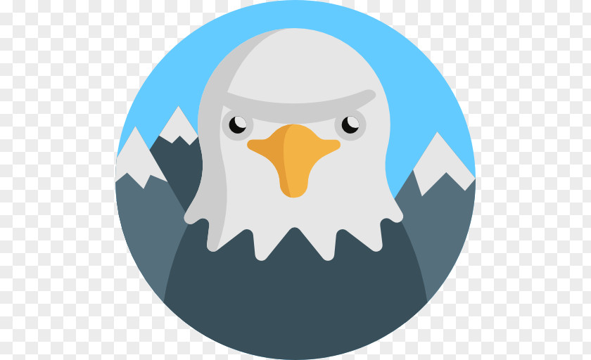 Bird Bald Eagle Beak Microsoft PowerPoint PNG