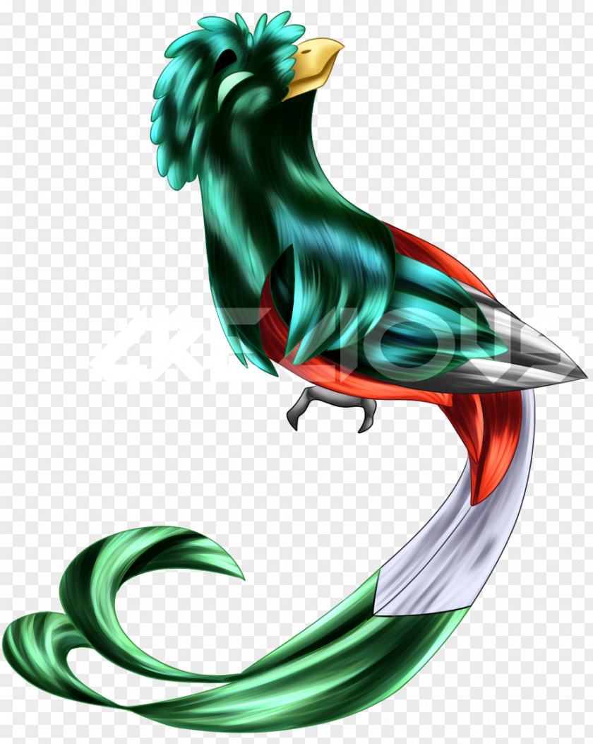 Bird Rooster Drawing Quetzal Illustration PNG