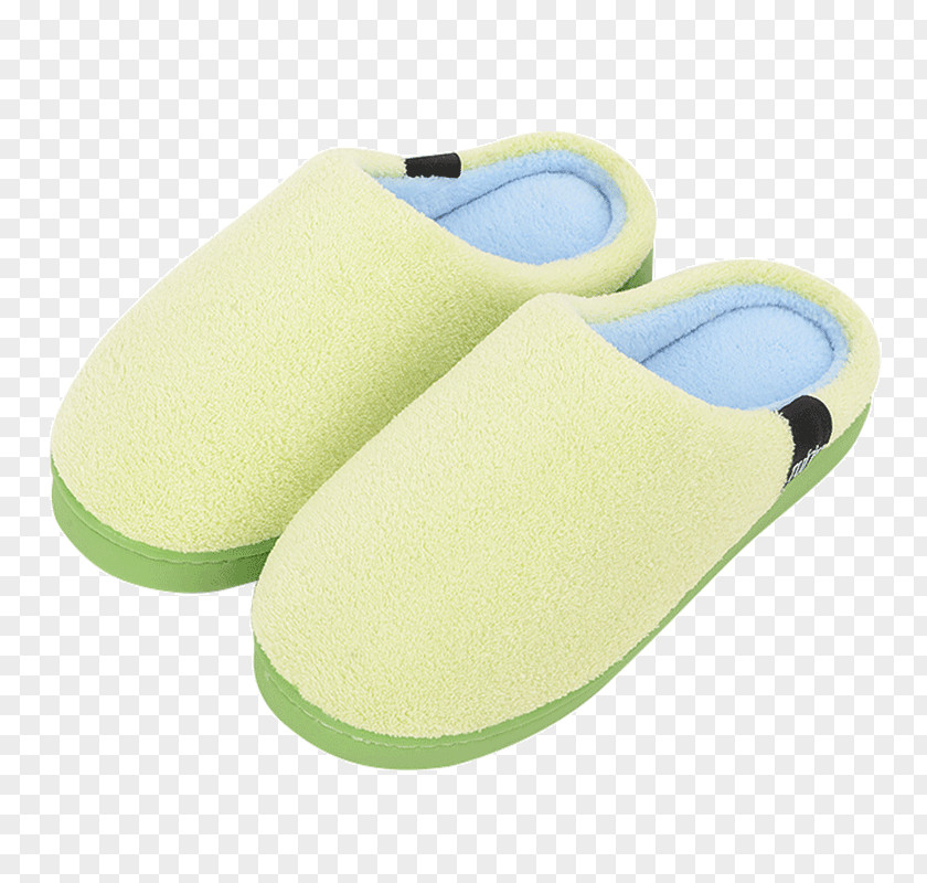 Design Slipper Shoe PNG