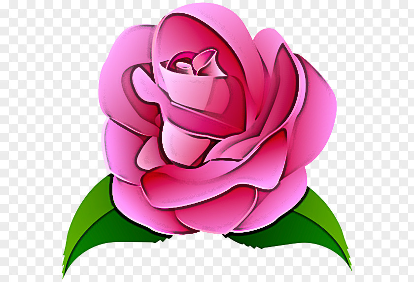 Garden Roses PNG