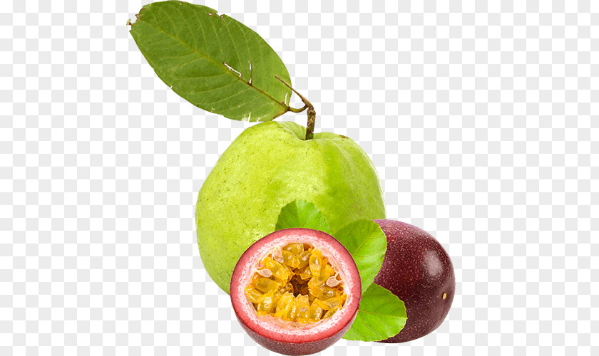 Guava Juice Sorbet Passion Fruit Food PNG