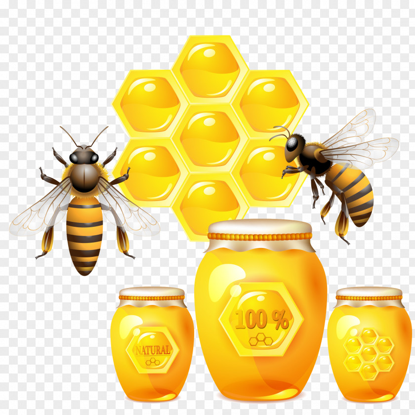 Honey Bee U0423u0447u0438u043c U0441u043bu043eu0432u0430 U043fu043e U043au0430u0440u0442u043eu0447u043au0430u043c U0414u043eu043cu0430u043du0430 Learn Words At The Doman Cards PNG bee u0423u0447u0438u043c u0441u043bu043eu0432u0430 u043fu043e u043au0430u0440u0442u043eu0447u043au0430u043c u0414u043eu043cu0430u043du0430 words at the cards, and clipart PNG