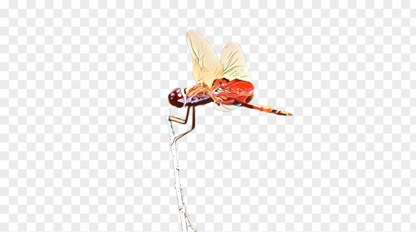 Insect Pest Dragonflies And Damseflies Beige Plant PNG
