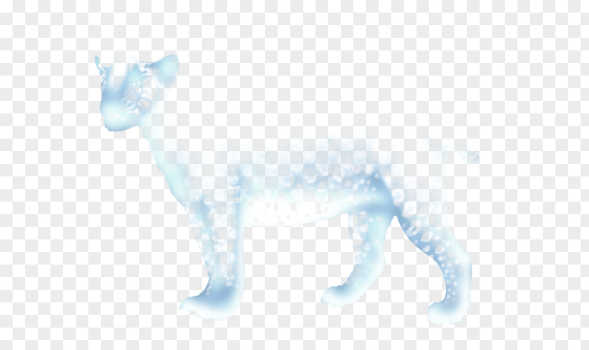 Cat Dog Canidae Tail Wildlife PNG