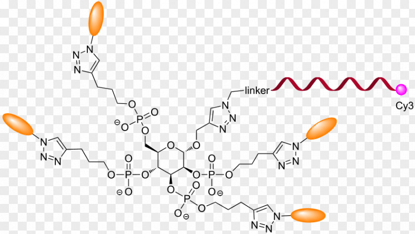 Dna Core Animal Clip Art PNG