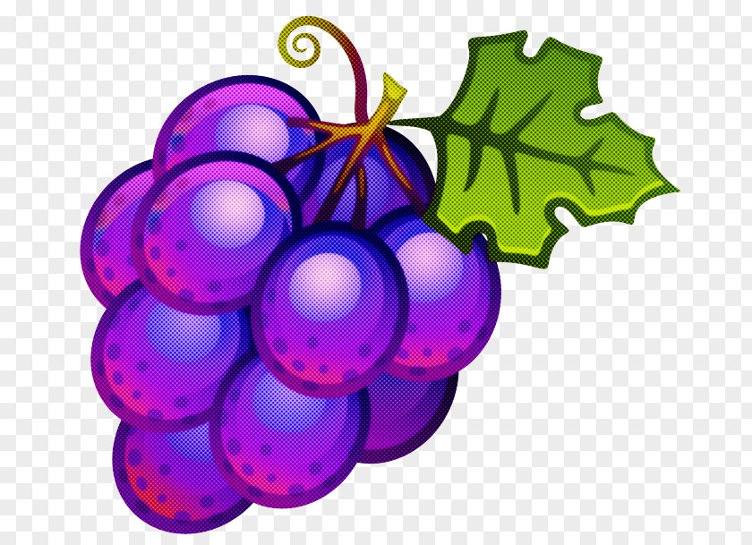 Grape Grapevine Family Purple Violet Vitis PNG