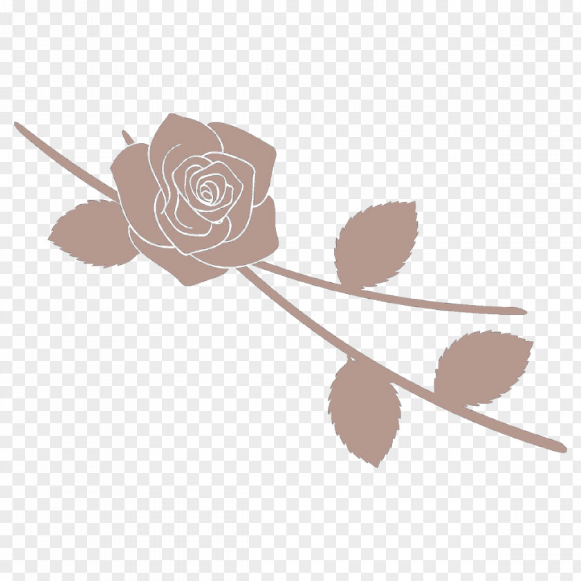 Rose PNG