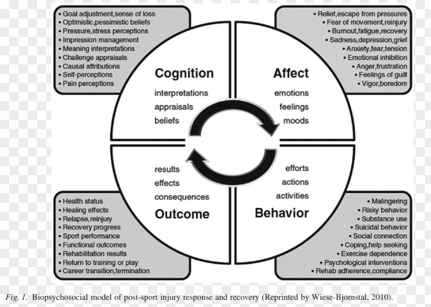 Sixfactor Model Of Psychological Wellbeing Biopsychosocial Sports Injury Sport Psychology PNG