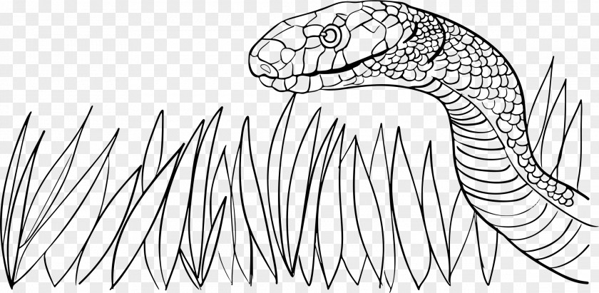 Snake Mongoose Vipers Cobra Clip Art PNG