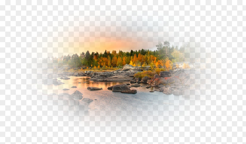 Tree Water Resources River Desktop Wallpaper Computer PNG