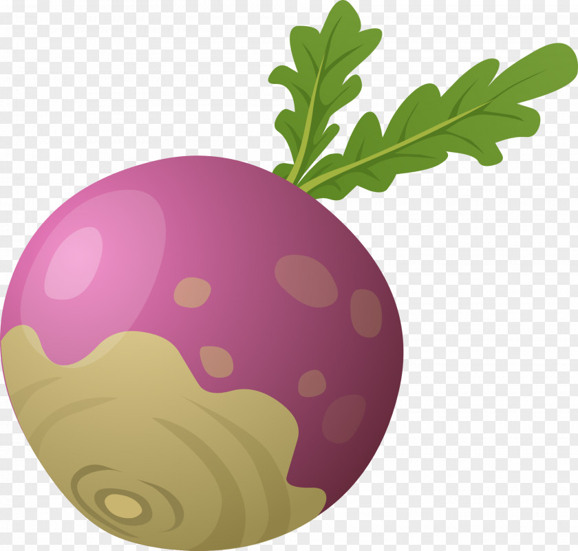 Beet The Gigantic Turnip Vegetable Clip Art PNG