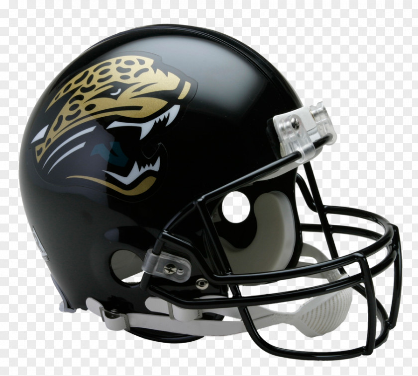 Chicago Bears NFL Atlanta Falcons Seattle Seahawks Carolina Panthers PNG