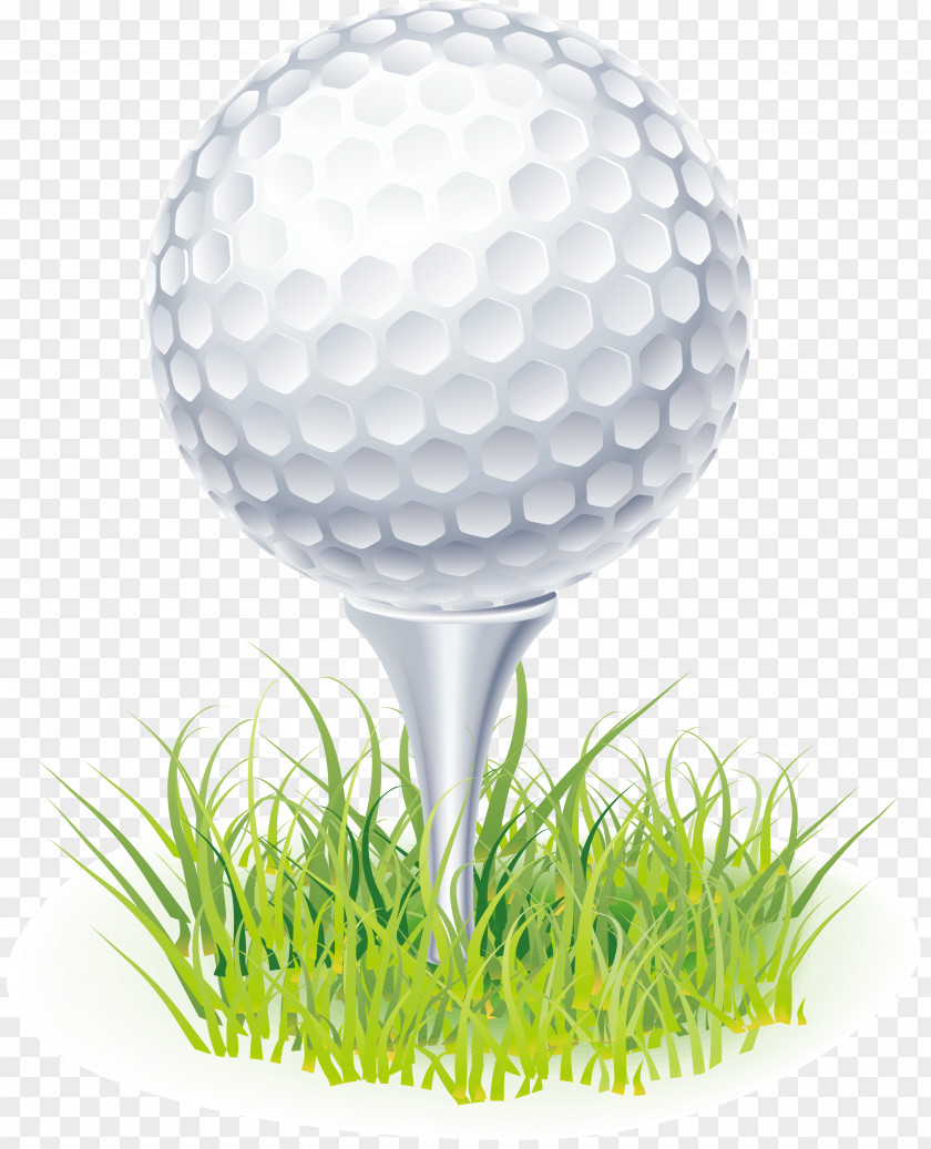 Golf Balls Clubs Clip Art PNG