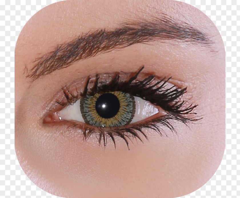 Natural Greenery Contact Lenses Eyelash Extensions Brown PNG
