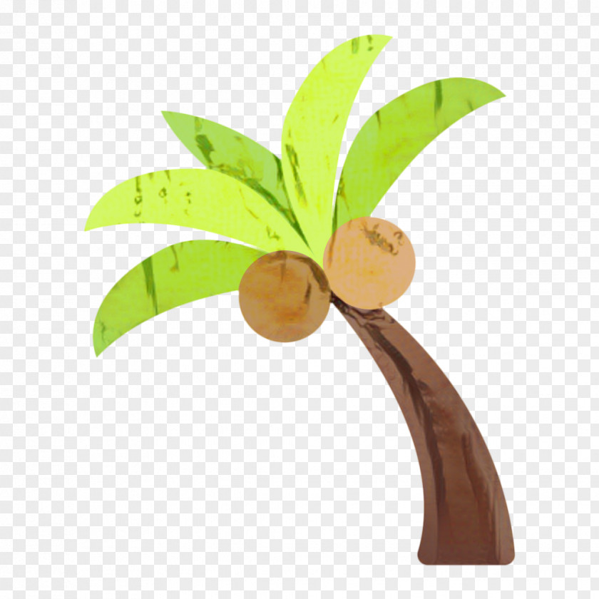 Palm Tree Flower Background PNG