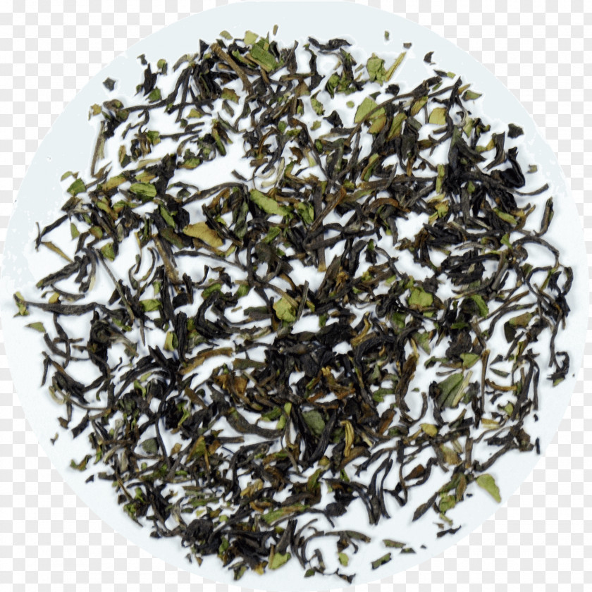 Tea Darjeeling Assam Nilgiri Biluochun PNG