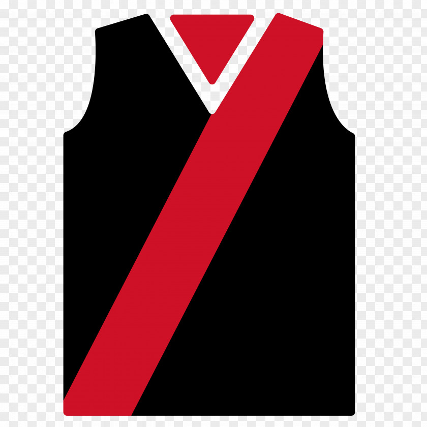 American Football Daily Fantasy Sports Essendon Club PNG