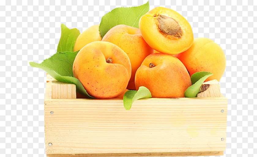 Apricot Fruit Food Peach Berry PNG