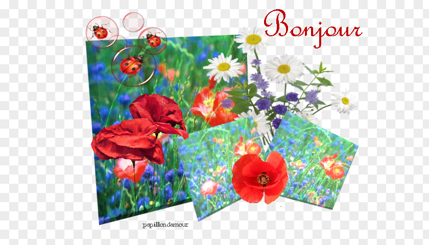 Bon Jour Apple Greeting & Note Cards Floral Design Plants PNG