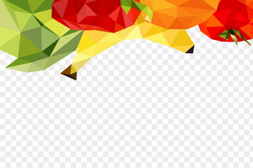 Colorful Geometry Calendar Fruit PNG