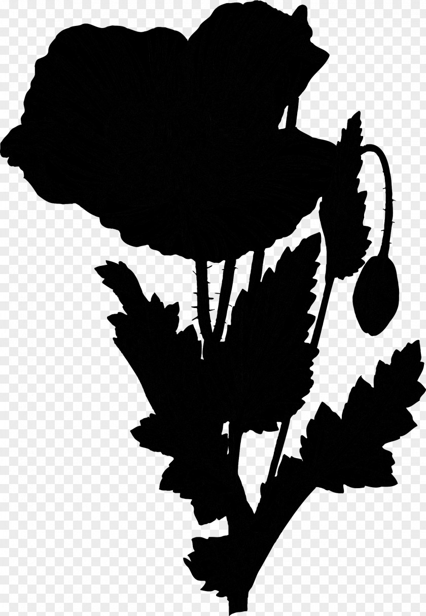 Flowering Plant Graphics Illustration Silhouette PNG