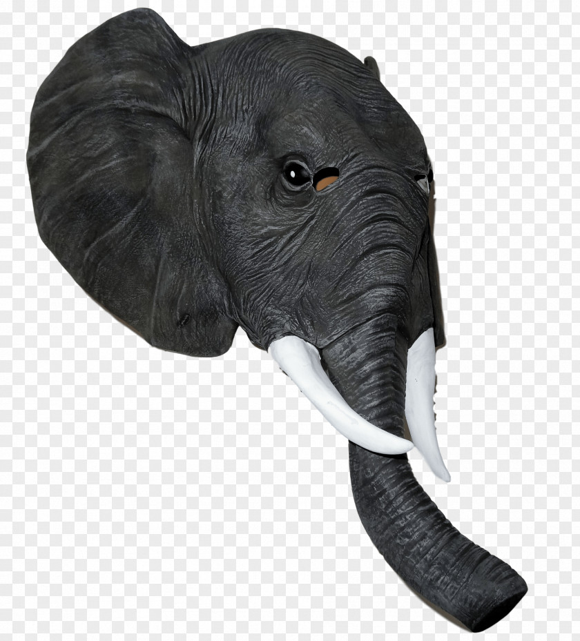 Mask Indian Elephant African Elephantidae Costume PNG