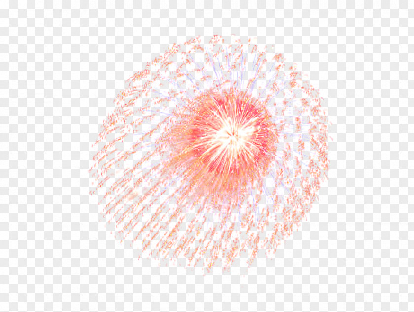 New Year Fireworks Spread Petal Circle Close-up Pattern PNG