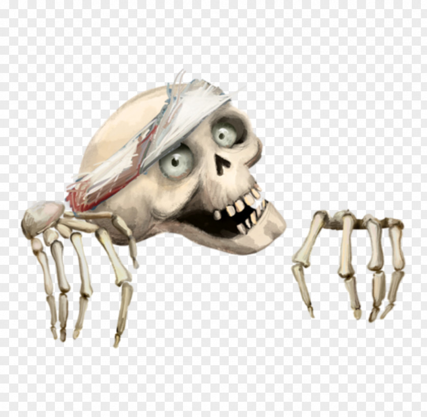 Skeleton Skull Bone Head PNG