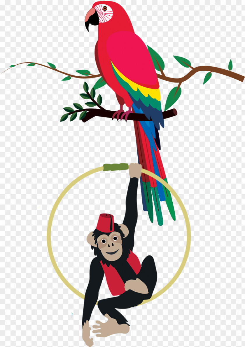 Animal Right Macaw Beak Parakeet Pet Clip Art PNG