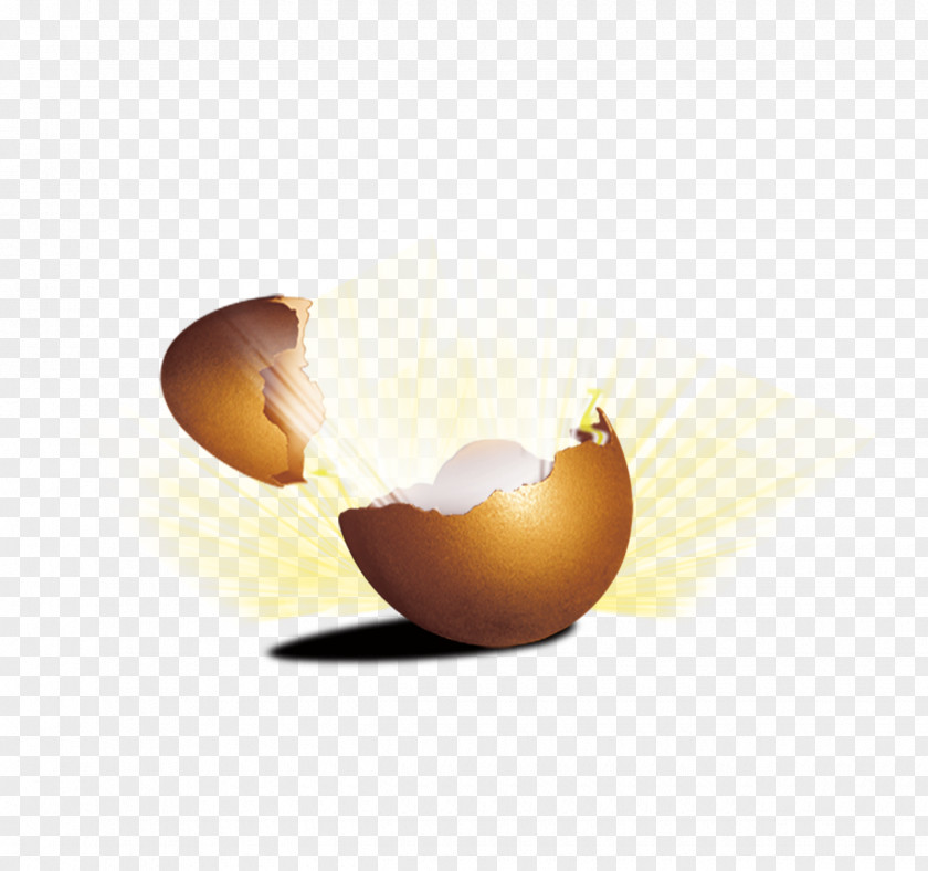 Cracked Eggs Chicken Egg Download PNG