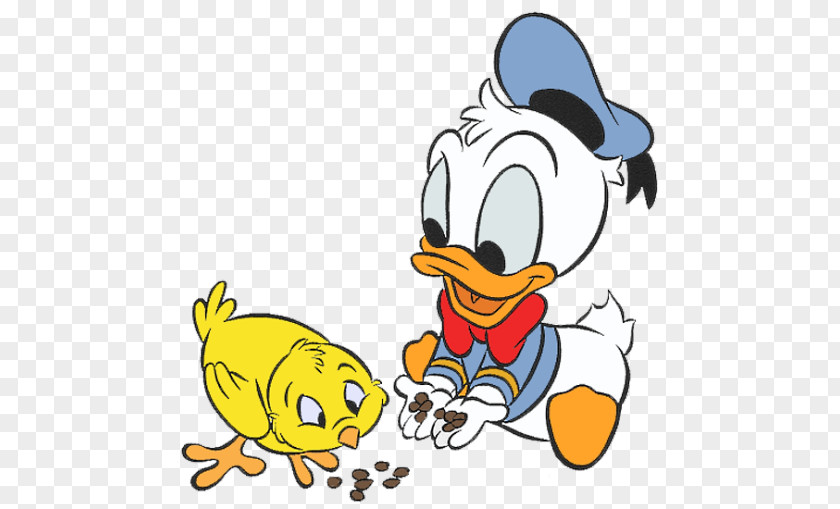 Donald Duck Daisy Clip Art Drawing Image PNG