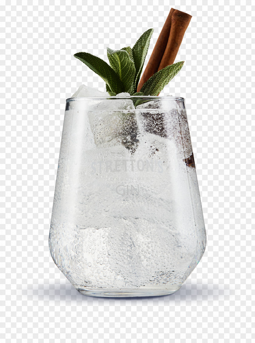Gin Tonic And Water Cocktail Distilled Beverage PNG