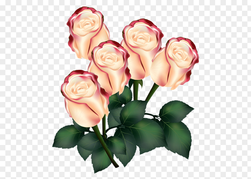Wedding Garden Roses Flower Bouquet Invitation Pink PNG