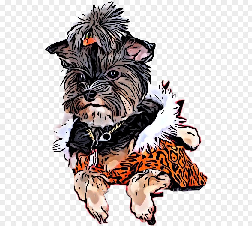 Affenpinscher Norwich Terrier Dog Drawing PNG