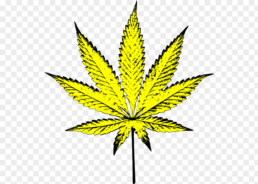 Flower Weeds Cliparts Cannabis Symbol Clip Art PNG