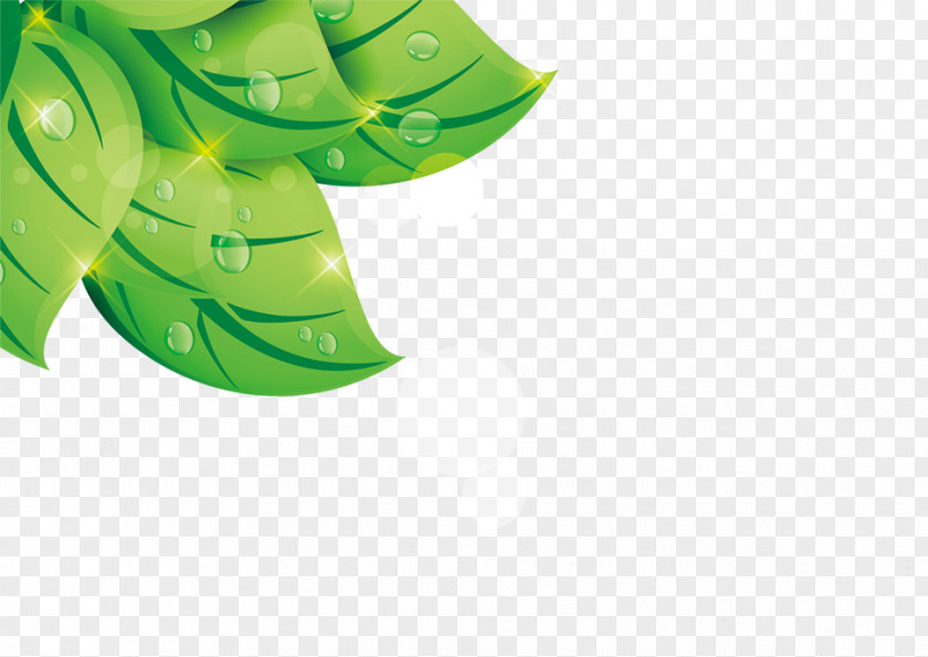 Green Leaves Leaf Computer File PNG