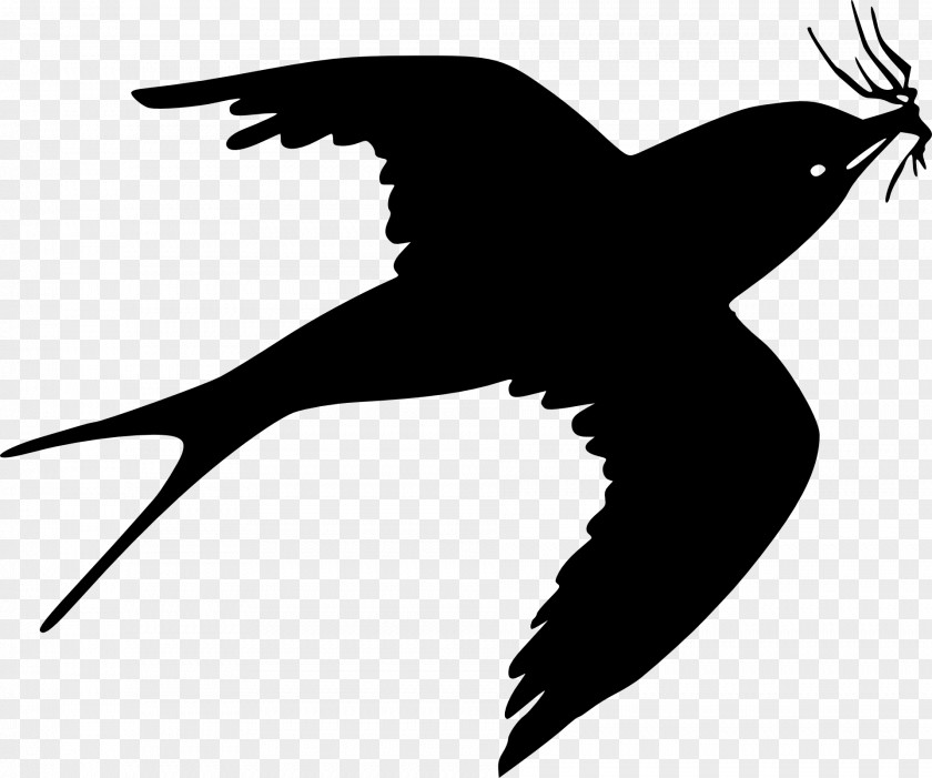 Hummingbird Silhouette House Sparrow Clip Art PNG