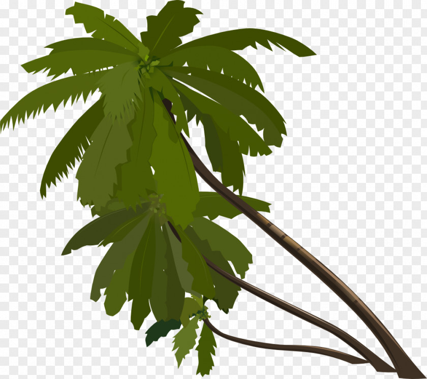 Palm Tree Animation Arecaceae Clip Art PNG