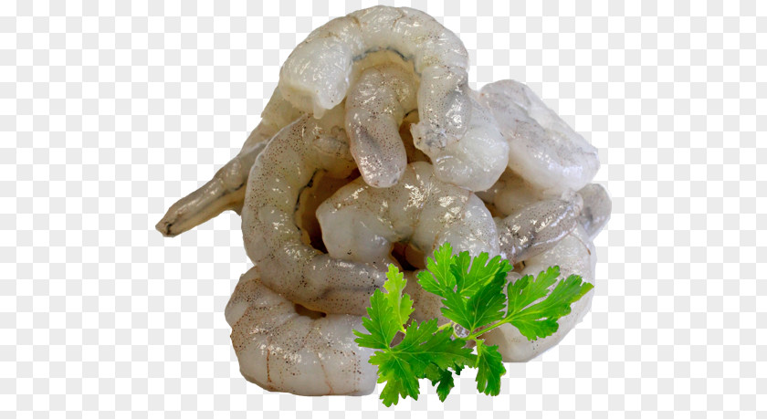Shrimp And Prawn As Food Caridea Giant Tiger PNG