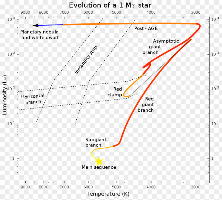 Star Asymptotic Giant Branch Red-giant Red Main Sequence Horizontal PNG