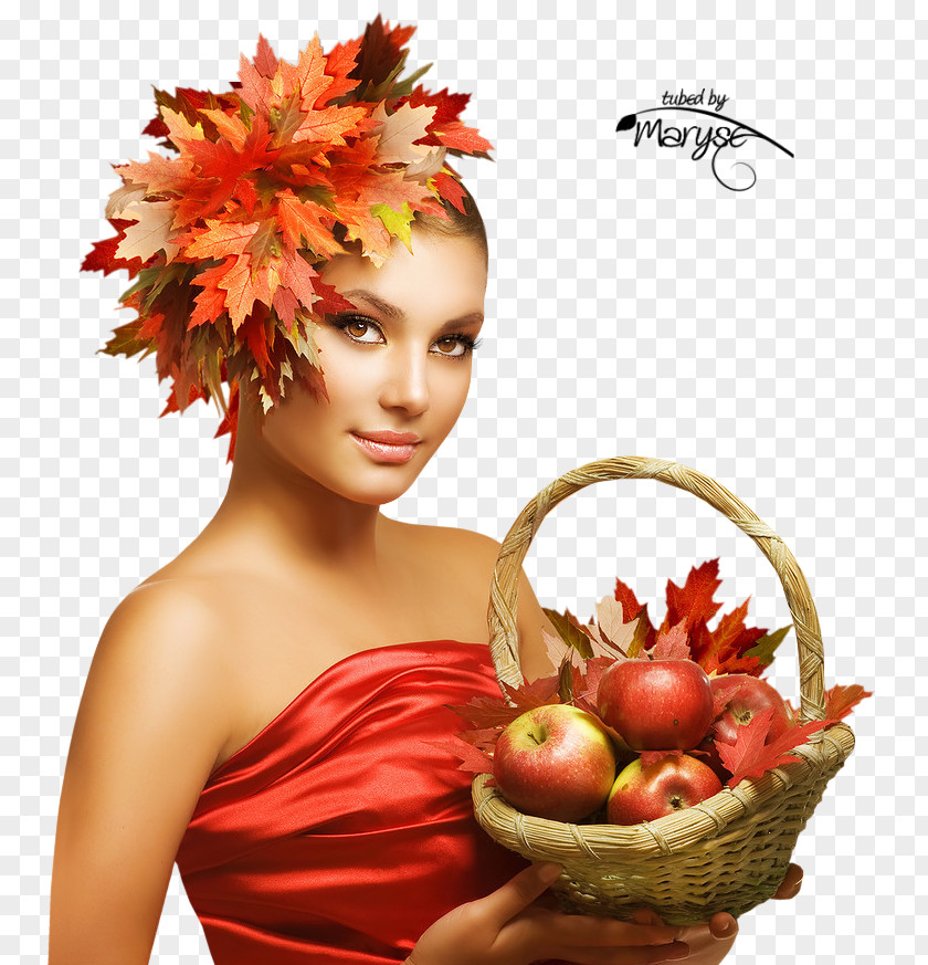 Tube Stock Photography Autumn Royalty-free PNG