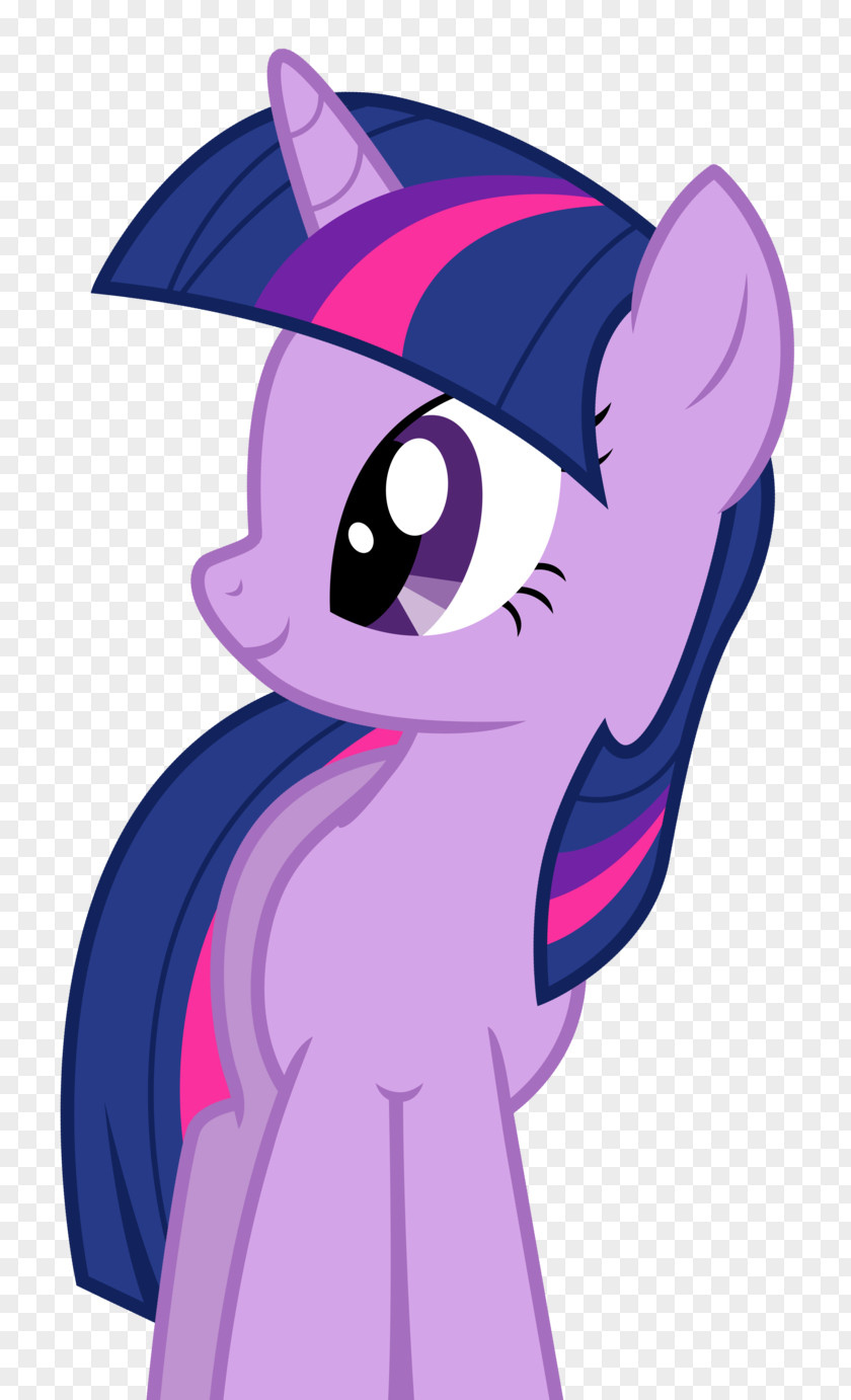 Twilight Sparkle Rainbow Dash Pinkie Pie Pony Rarity PNG