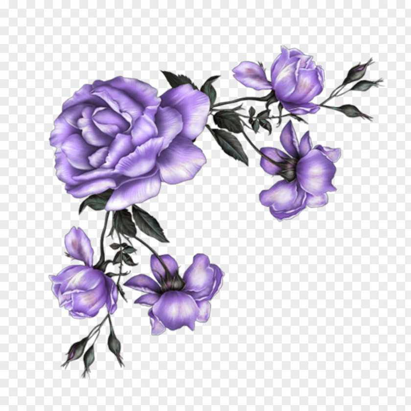 Flower Clip Art Image Drawing PNG