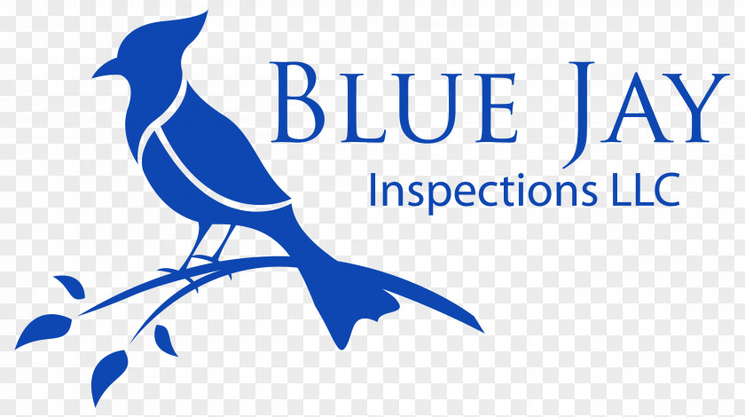 House Blue Jay Inspections LLC Home Inspection Architectural Engineering PNG