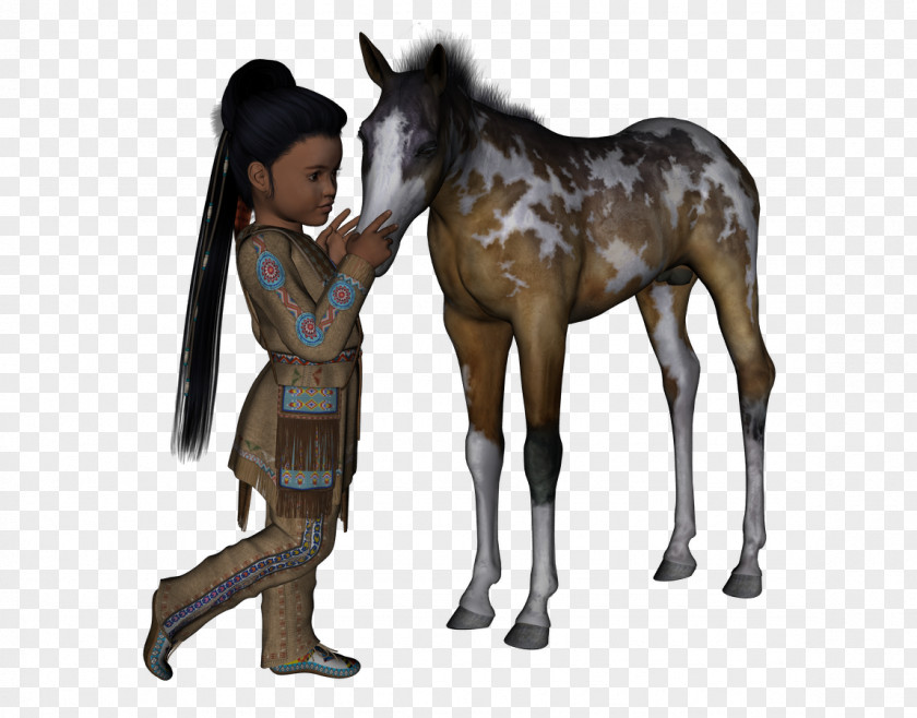 Mustang Mule Foal Stallion Colt PNG