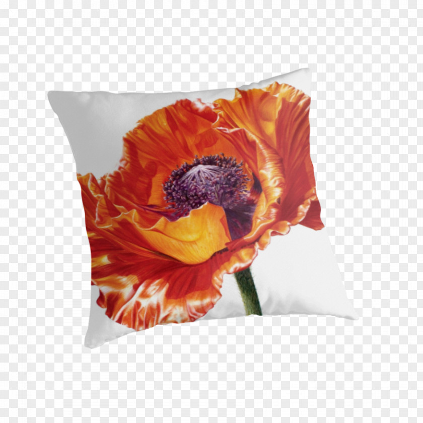 Painting Poppy Watercolor Artist Mixed Media PNG